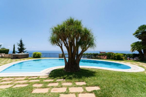 Vila Eucalipto by An Island Apart